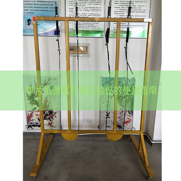 單片機(jī)微機(jī)開發(fā)實(shí)驗(yàn)儀的使用指南(圖1) 單片機(jī)微機(jī)開發(fā)實(shí)驗(yàn)儀的使用指南(圖1)